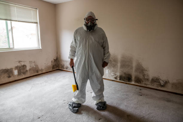 Crawl Space Mold Removal in Lake Junaluska, NC